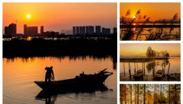 ʪƷɽˮʪع԰Ӱѡ