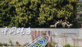 麣ӰЭŷȻԱáй硱ɷ