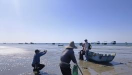 �۽�������Ӱ �麣��Ӱ�Ҹ�ï���ɷ�